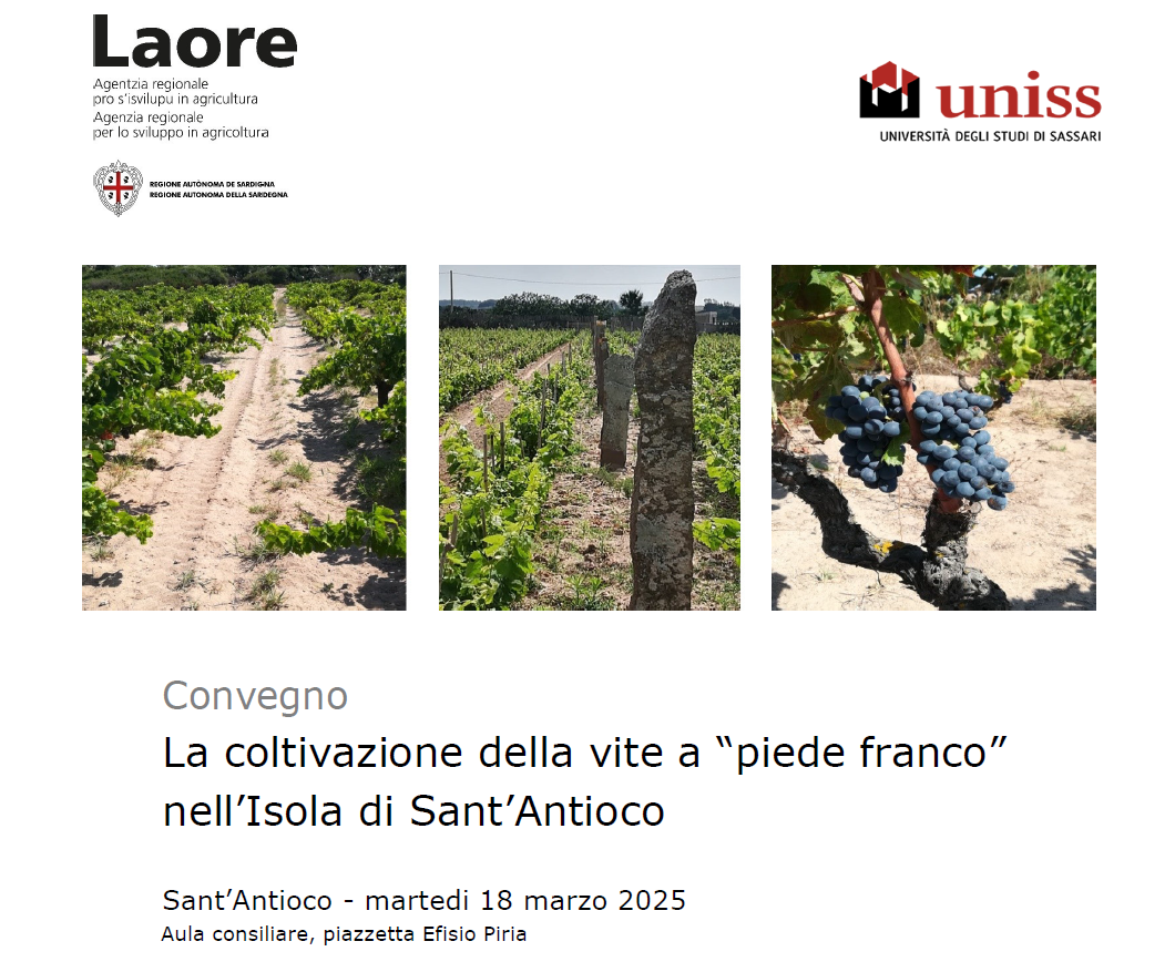 Convegno sulla vite a “piede franco” il 18 marzo.